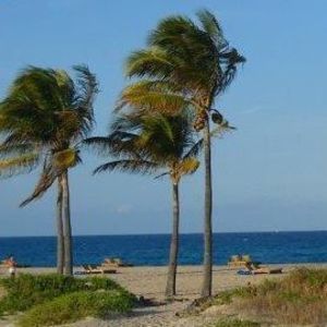 Meet your Posher, Barb